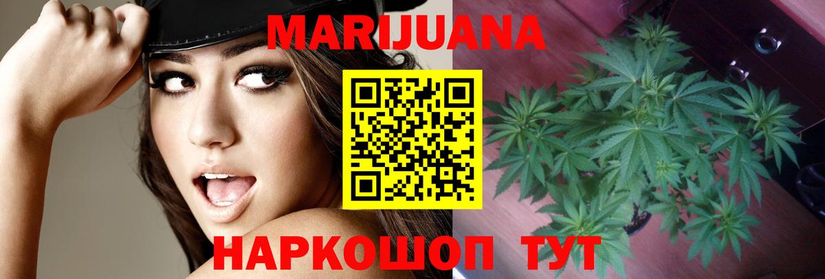 Каннабис план  Каннабис ГИДРОПОН  Вход с VPN  Марихуана сатива  Белогорск 